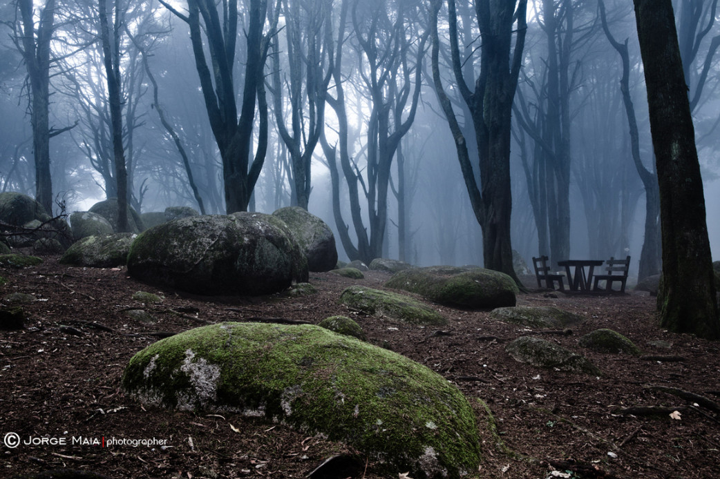 Туман. Фото: Jorge Maia