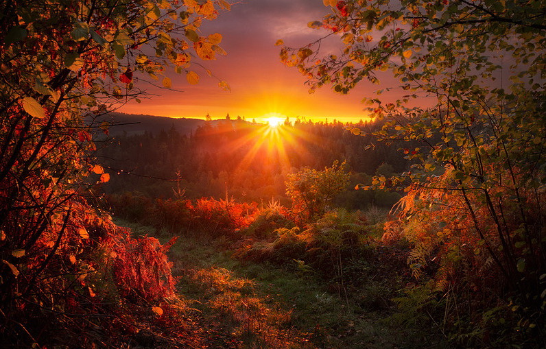 Фото: Florent Courty